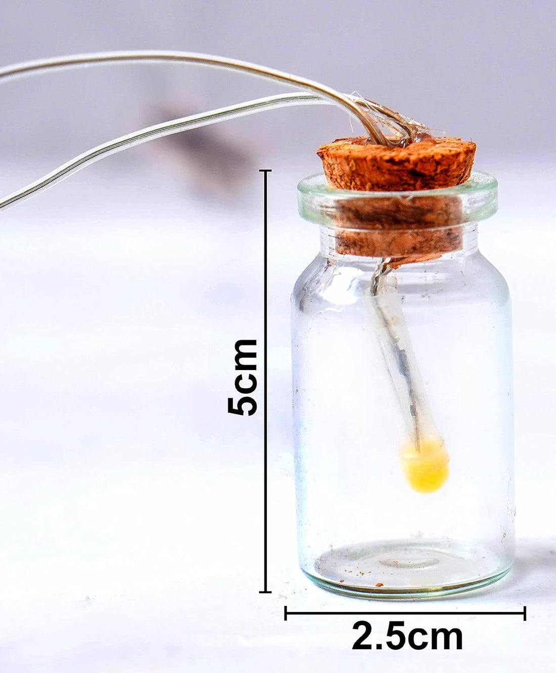 Jar Shape LED String Fairy Light (Warm White, Electric Corded)