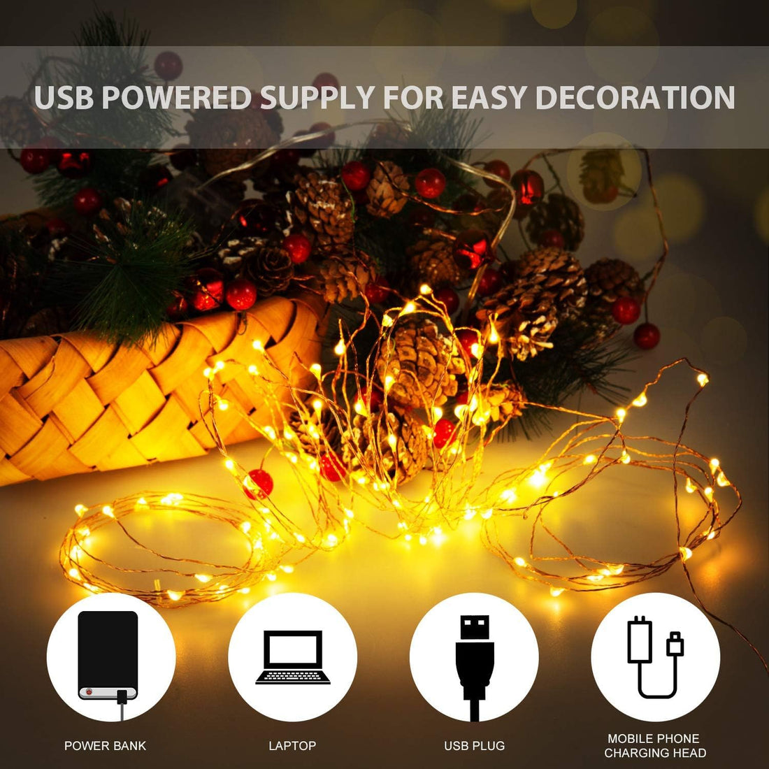 LITVERSE 05 Meter 50 LED's Waterproof Fairy Decorative Stary String Light - 1 M USB Powered (2 Copper Wires, Sturdy Quality) Warm White-5 Meter