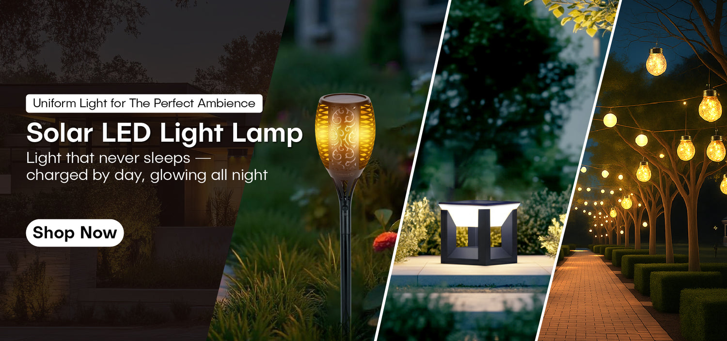 collection-banner-image